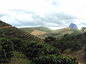 zona da mata (1) 